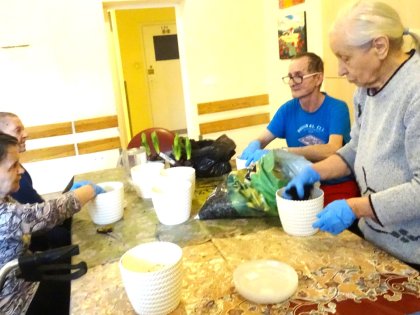 Zdjęcie 8 z 10 do wpisu „„Hiacyntowy zawrót głowy””