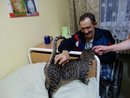 Zdjęcie 3 z 3 do wpisu „Felinoterapia - spotkanie drugie”