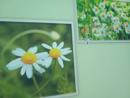 Na obrazku slajdy z kolorowymi kwiatami