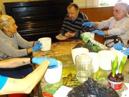 Zdjęcie 3 z 10 do wpisu „„Hiacyntowy zawrót głowy””