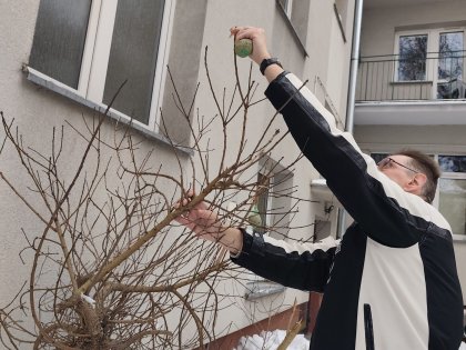 Zdjęcie 1 z 2 do wpisu „Akcja dokarmiamy ptaki!”