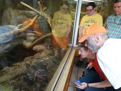 Mieszkańcy stoją przy szklanym terrarium w ZOO i oglądają gada