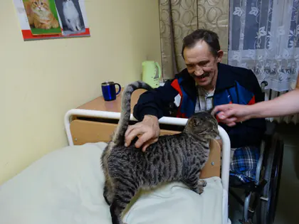 Mężczyzna na wózku głaszcze kota stojącego na łóżku