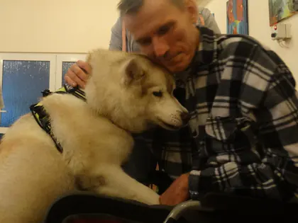 Mieszkaniec na wózku przytula głowę do jasnego psa husky