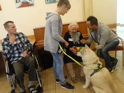 Prowadząca podaje psu husky zabawkę, mieszkanka i mieszkaniec przyglądają się z bliska