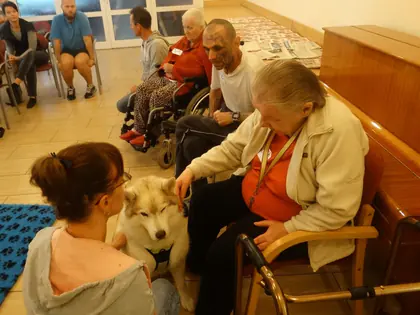 Mieszkanka głaszcze psa husky, obok opiekunka z fundacji i inni mieszkańcy