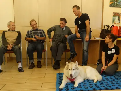 Pies husky leży na kocu przed mieszkańcami podczas dogoterapii