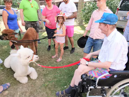 Mieszkaniec na wózku i dziecko z alpakami na pikniku