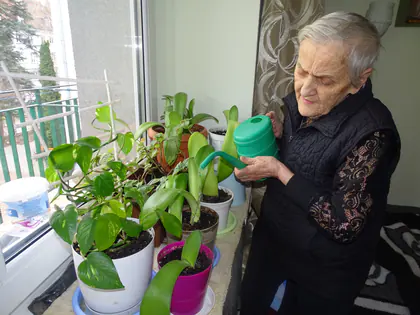 Mieszkanka podlewa rośliny doniczkowe na parapecie