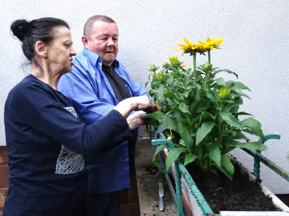 Kobieta i mężczyzna sadzą kwiaty w skrzynce z żółtymi kwiatami