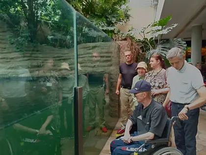 Mieszkańcy i opiekunowie przy szklanej szybie wybiegu w zoo, jeden mężczyzna na wózku