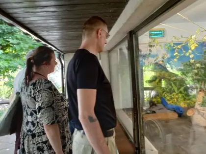 Mieszkańcy przy szybie wybiegu z ptakami