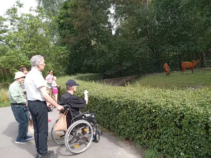 Grupa zwiedzających na ścieżce w zoo, za żywopłotem pasą się antylopy