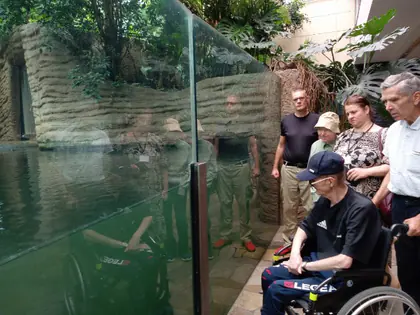 Mieszkańcy, część na wózkach, oglądają szklane akwarium z roślinami w ZOO