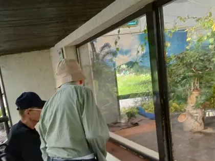 Mieszkańcy oglądają wybieg przez szybę w zoo