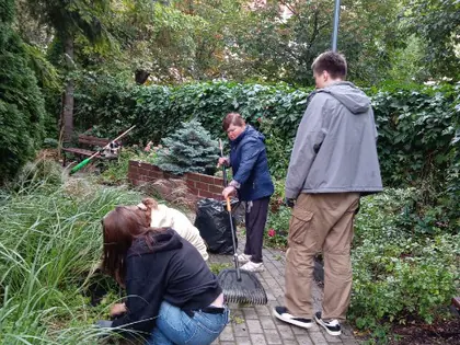 Wolontariusze sprzątają alejkę w ogrodzie