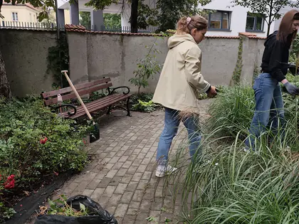 Dwie wolontariuszki sprzątają ogród, w tle zieleń i mur, za którym widać biały budynek